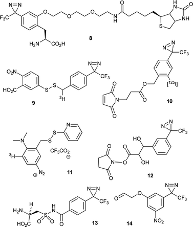 Multifunctional PIC reagents described in the text.