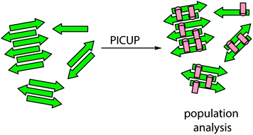 Schematic depicting generalized PICUP strategy for study of aggregation processes; the supramolecular ensemble is subjected to cross-linking at any given time point and cross-linked species characterized to produce a population distribution.