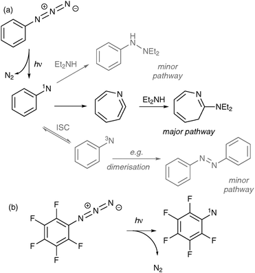 Photochemistry of aryl azides exemplified by photolysis of PA and pentafluoro-PA in diethylamine. (a) PA is photolysed to form the singlet nitrene (1N), which mostly undergoes ring expansion to 1,2-didehydroazepine, to which nucleophiles (e.g., diethylamine) can add. Other pathways, via direct reaction of the singlet nitrene with diethylamine, or via intersystem crossing (ISC) to triplet state (3N), are considered to be suppressed at ambient temperature (but note, however, that oxidation products are attributed to reactions of 3N with molecular oxygen); (b) the preferred reaction pathway of fluorinated PA is via direct insertion of the singlet nitrene.