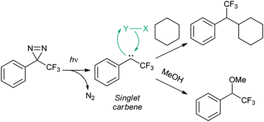 Photogeneration of a singlet carbene and products arising from insertion reactions with cyclohexane or methanol. A mechanism is given for the insertion reaction, featuring the generalised substrate X–Y (typically, Y = hydrogen).