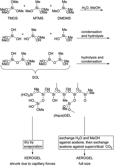HNLs can be encapsulated in sol–gels. Many of them are sensitive to MeOH so this needs to be removed under vacuum from the sol. Subsequent addition of the enzyme in neutral buffer ensures the encapsulation in the aqua-gel.