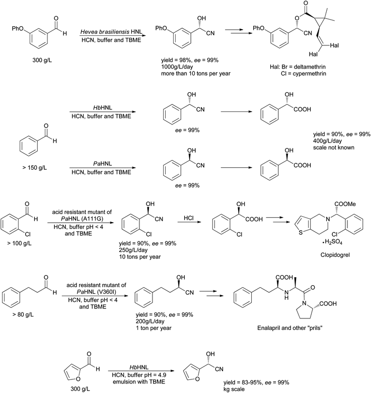 A number of HNL catalysed reactions are performed on an industrial scale.