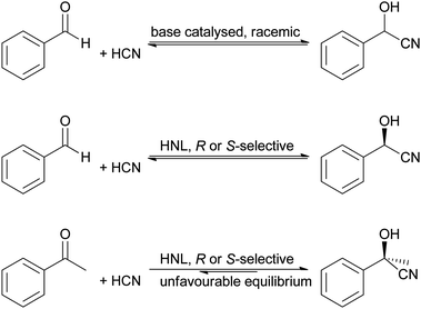 The base catalysed cyanohydrin synthesis and the HNL catalysed cyanohydrin synthesis compete with each other. Reaction conditions that suppress the base catalysed reaction are essential for the application of HNLs. Moreover, the reaction equilibrium is not always in favour of the cyanohydrin formation.