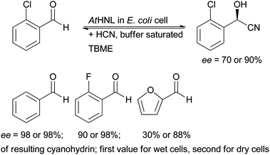Whole cells of E. coli expressing AtHNL employed under “micro aqueous” conditions. The first value for the ee is derived from the reaction with wet cells, the second from the reaction with lyophilised cells.