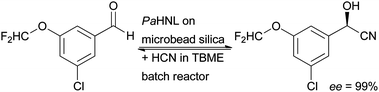 Immobilisation on Microbead Silica Gel 300A enables the application of different HNLs in a batch reactor. Excellent activity and selectivity is reported for recycling in at least 22 batches.