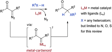 General scheme for XHI.