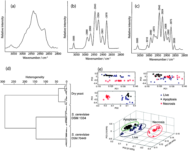 Microfluidics and Raman microscopy : current applications