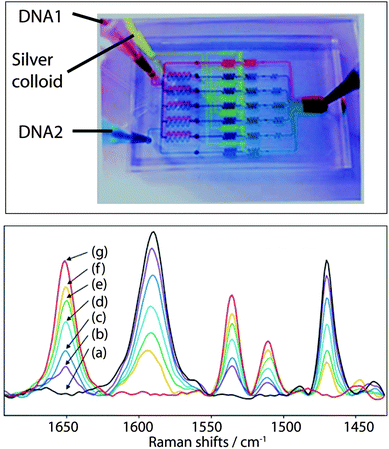 tool salival CDのみ Amazon.com: Lskioer Delivery Valve Socket, 32 Spline Tooth Diesel