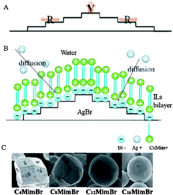 Hydrothermal synthetic strategies of inorganic