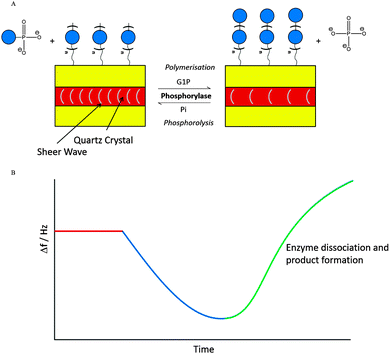 はまち Pyrene pyridine-conjugate as Ag selective fluorescent