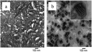 TEM pictures of polypropene-polymethylmethacrylate block-copolymers (PP-b-PMMA) showing phase separation at the microscopic level, with different morphologies for a PMMA content of 60% (a) and 75% (b).181 (Reproduced with permission; Copyright 2003 Wiley)