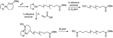 Synthesis of polyethene functionalised with an acrylate unit at either one or both chain ends via end-capping of living polymerisation catalysed by palladium.
