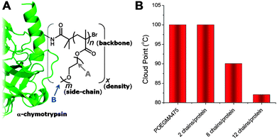 Thermoresponsive polymers grafted to the surface of a protein. (A) synthetic strategy and chemical space explored; (B) observed cloud point of chymotrypsin-graft PPEGMA475 as a function of grafting density. Modified from ref. 69.