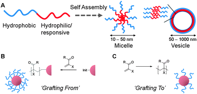 Synthetic concepts used to obtain naoparticles with a thermo-responsive polymer corona. (A) Self-assembly of block copolymeramphiphiles; (B) grafting of polymers from an initiator-functionalised nanoparticle core; (C) grafting of polymer chains onto pre-formed nanoparticle cores.