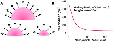 Variation of free volume per polymer chain as a function of nanoparticle curvature, assuming constant grafting density and chain elongation. (A) Schematic of nanoparticle surface with polymer chains represented as vectors; (B) calculated volume/chain as a function of nanoparticle radius.
