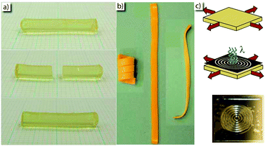 Demonstrations of photo-induced healing, shape change, and surface topography change in photo-induced CANs. (a) Using thiuram disulfide crosslinks, Amamoto et al. created a polymer network that is capable of photo-induced healing with visible light (initial, fracture, after photo-healing – top to bottom) [adapted from ref. 45. Reprinted by permission from Wiley-VCH]; (b) Lendlein et al. utilized a secondary photoreversible cinnamate crosslinks to create a photo-induce shape memory material (initial, stretched and photofixed at λ > 260 nm, photocleaved at λ < 260 nm – left to right) [reprinted by permission from Macmillan Publishers Ltd: Nature (24), copyright 2005]; and (c) Kloxin et al. irradiated an optically thick, biaxially stretched specimen containing allyl sulfide crosslinks to demonstrate mechanophotopatterning on an elastomer (biaxial stretch, irradiate at 365 nm, release – top to bottom) [adapted from ref. 18. Reprinted by permission from Wiley-VCH].