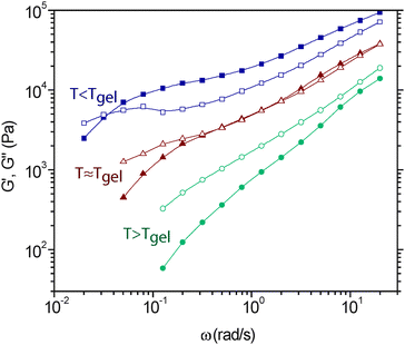 Frequency dependent elastic (G′, filled symbols) and viscous (G′′, open symbols) moduli for a DA-network as a function of temperature in the vicinity of the gel-point. At temperatures higher than Tgel (95 °C, circles), the material exhibits liquid-like properties, whereas temperatures below Tgel (87 °C, squares) the material is solid-like for intermediate frequencies. Neat the gel-point (91 °C, triangles) the elastic and viscous moduli exhibit similar scaling with frequency, indicative gel-point dynamics. At low frequencies, the material exhibits a viscoelastic-liquid relaxation, even for materials that are above their gel-point. Adapted from ref. 32. Copyright (2008) American Chemical Society.