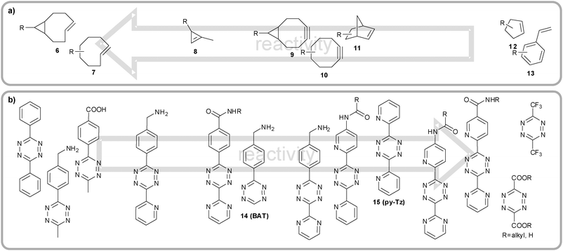 (a) Dienophiles14trans-bicyclo[6.1.0]nonene (6), trans-cyclooctene (TCO, 7), methylcyclopropene (8), bicyclo[6.1.0]nonyne (9), cyclooctyne (10), norbornene (11), cyclopentene (12), styrene (13) and (b) tetrazines5,13,15,16 (e.g. 3-(benzylamino)-tetrazine (14) or 3,6-di(pyridin-2-yl)-1,2,4,5-tetrazine (15)) used in iEDDA reactions and their (estimated) relative reactivities.