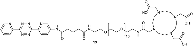 DOTA (1,4,7,10-tetraazacyclo-dodecane-1,4,7,10-tetraacetic acid) derivatised tetrazine (19) for 111In radiometalated “chasers”.