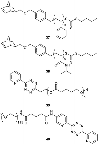 Semi-telechelic polymers for iEDDA conjugation.24