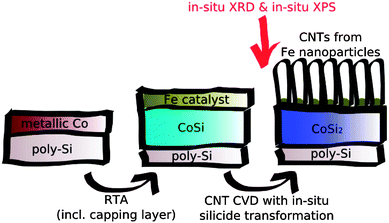 Schematic representation of the in situ preparation of CNT forests and the silicidation of high resistivity CoSi to low resistivity CoSi2 during CNT growth. Reproduced with permission from ref. 126.