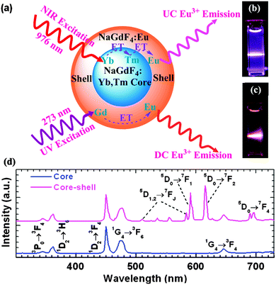 Lanthanide-doped luminescent nanoprobes: controlled synthesis