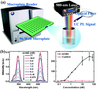 Lanthanide-doped luminescent nanoprobes: controlled synthesis