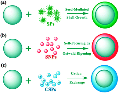 Lanthanide-doped luminescent nanoprobes: controlled synthesis 