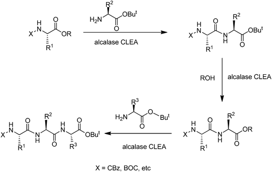Alcalase-CLEA catalysed peptide synthesis.