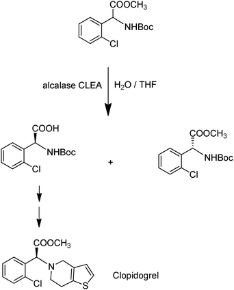 Alcalase-CLEA catalysed hydrolysis of a protected amino ester.