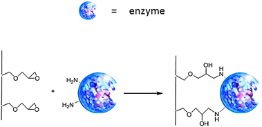 Covalent binding of an enzyme to a functionalised support.