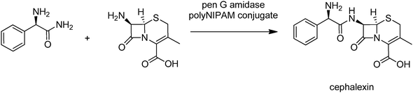 
            Cephalexin synthesis with a thermoresponsive polymer–penicillin G amidase conjugate.