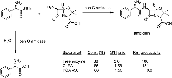 
            Ampicillin synthesis using penicillin G amidase–CLEA.