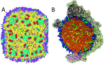 Molecular view on nanoparticles. (A) Lipid nanoparticle used for gene delivery,229 composed of ionisable lipids (yellow), cholesterol (pink), phospholipid (grey; lipid polar moiety in cyan), PEG–lipid (violet) and 12 bp DNA (red). (B) Low density lipoprotein particle234 (courtesy I. Vattulainen), consisting of a droplet of lipids (blue), cholesterol (green), triglycerides (yellow), and cholesterylester (brown), bound to lipoprotein ApoB-100. Adapted with permission from ref. 229. Copyright (2012–2013) American Chemical Society.