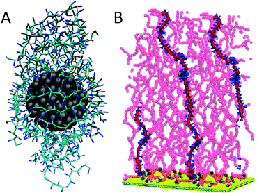 Polymeric systems. (A) Nanoparticle coated with PMMA resin278 (courtesy Y. Huang). Nanoparticle is shown in grey, the polymer in blue. (B) Grafted polystyrene chains in good solvent279 (courtesy G. Rossi). Support is shown in yellow, polymer backbone in red with one polymer highlighted with blue phenyl rings. Adapted with permission from ref. 278 and 279. Copyright (2012–2013) American Chemical Society.