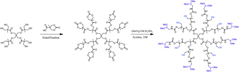 A simplified strategy for the construction of bis-MPA HFD(e)-G2-(hydroxyl)8-a-(acetal)8 with externally (e) alternating (a) dual functionality as proposed by Fréchet et al.35