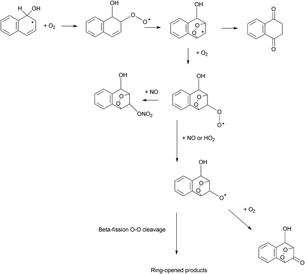 An alternative reaction scheme for the reaction of naphthalene–PAH adduct proceeding via a bicyclic peroxy radical.184