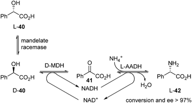 DKR of mandelic acid 40.