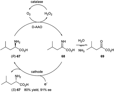 Deracemisation of amino acid via cyclic deracemisation.