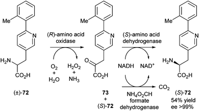 Deracemisation of amino acids via stereoinversion.