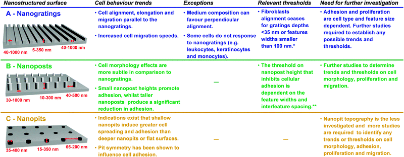 Summary of the main effects of the interaction of mammalian cells with nanoscale topography in the form of (A) nanogratings, (B) nanoposts and (C) nanopits with different feature widths, depths and interfeature spacings.16–18 Progress has been made, but yet there is still a great deal of work to be done in fully understanding the influence of nanotopography on cell behaviour. * The threshold is associated with a particular spacing (ridge-grating ratio) and the cell type investigated. Different threshold numbers are expected depending on the cell type and ridge-grating ratio used.19 ** The threshold is based on several studies with different cell types and features with different aspect ratios and interfeature spacing.