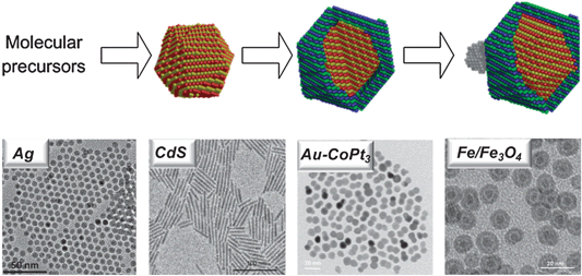 (top) Nanomaterial synthesis often starts with simple molecular precursors that undergo chemical transformation into nanoparticles that can be further transformed into complex nano-heterostructures. (bottom) Several examples of nanomaterials with different shape and composition.