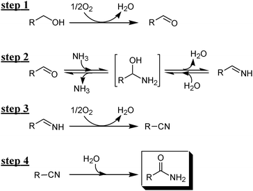 Possible reaction path for the OMS-2-catalyzed amidation of primary alcohols to primary amides.