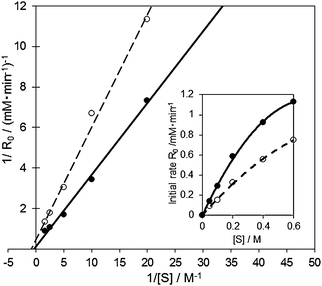 Lineweaver–Burk plot and Michaelis–Menten kinetics in the aerobic oxidation of 1-phenyl ethanol over the Au60Pd40-PVP/HT (solid line) and bare Au100/HT (dashed line) catalysts. Reaction conditions: 1-phenylethanol (0.25–3 mmol), catalyst (10 mg), toluene 5 mL, 313 K, 5 min, O2 flow (20 ml min−1).