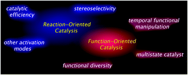 Focus of reaction-oriented catalysis and function-oriented catalysis.