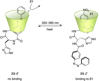 The structure of photoswitchable catalyst 23.