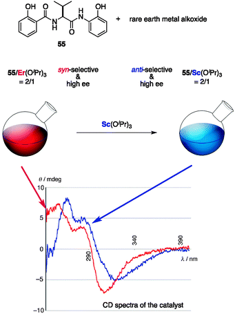 CD analysis of 55/Er and 55/Sc, and structural transition from 55/Er to 55/Sc.