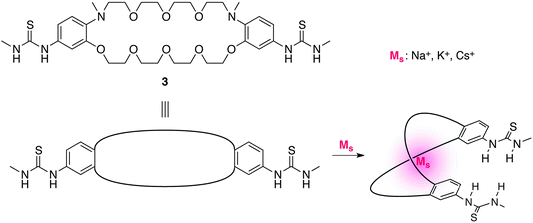 The structure of crown-ether-based allosteric catalyst 3.