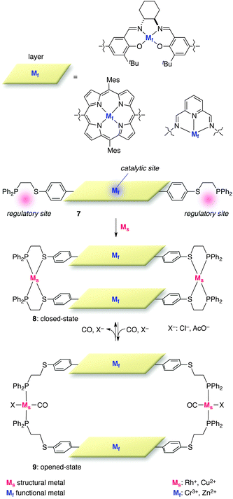The general structure of the double-layer allosteric catalysts.