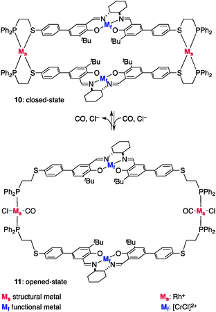 The structure of the double-layer allosteric catalysts 10 and 11.